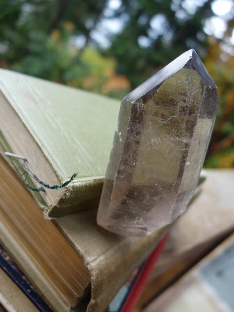 One Of a Kind Double Terminated Rutilated Smoky Quartz Point From Brazil - Earth Family Crystals