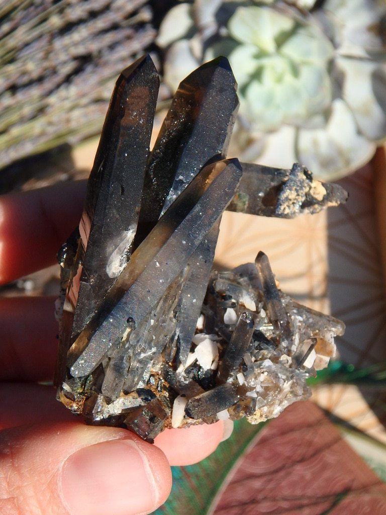 Absolutely Amazing DT Smoky Quartz Cluster From Malawi - Earth Family Crystals