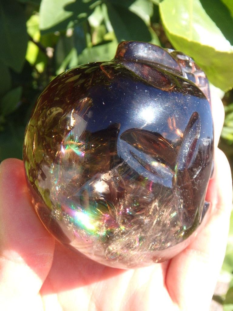 Massive Rainbow Frenzy! Dark Smoky Quartz Gemstone Skull Carving - Earth Family Crystals