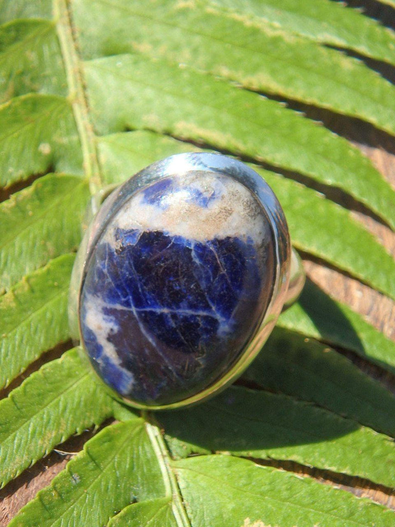 Deep Blue Sodalite Ring in Sterling Silver (Size 10) - Earth Family Crystals