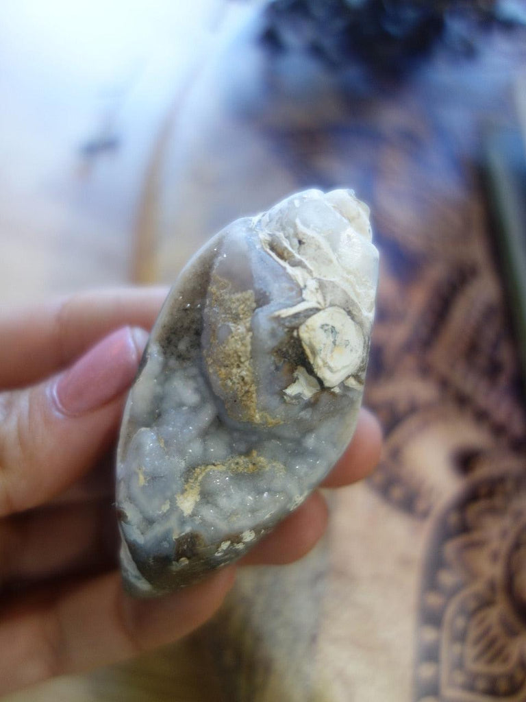 Lovely Long & & Luscious White Druzy Spiralite Gemshell - Earth Family Crystals