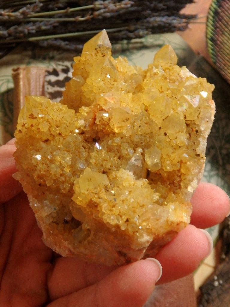 Large Golden Citrine Spirit Quartz Specimen 2 - Earth Family Crystals