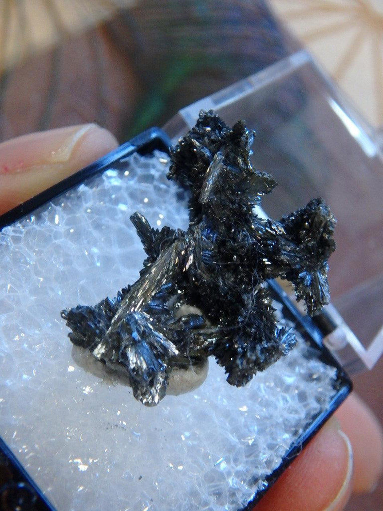 Unique Stibnite Formation In Collectors Box From Herja Mine, Romania - Earth Family Crystals