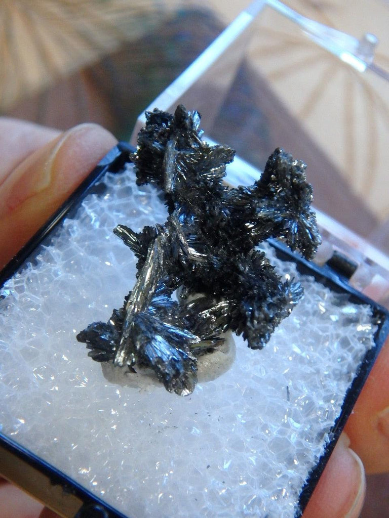 Unique Stibnite Formation In Collectors Box From Herja Mine, Romania - Earth Family Crystals