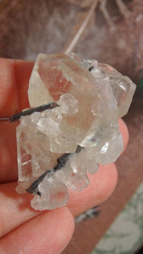 Gorgeous Clear Calcite & Stibnite Specimen - Earth Family Crystals