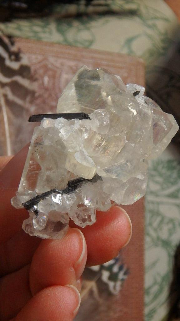 Gorgeous Clear Calcite & Stibnite Specimen - Earth Family Crystals