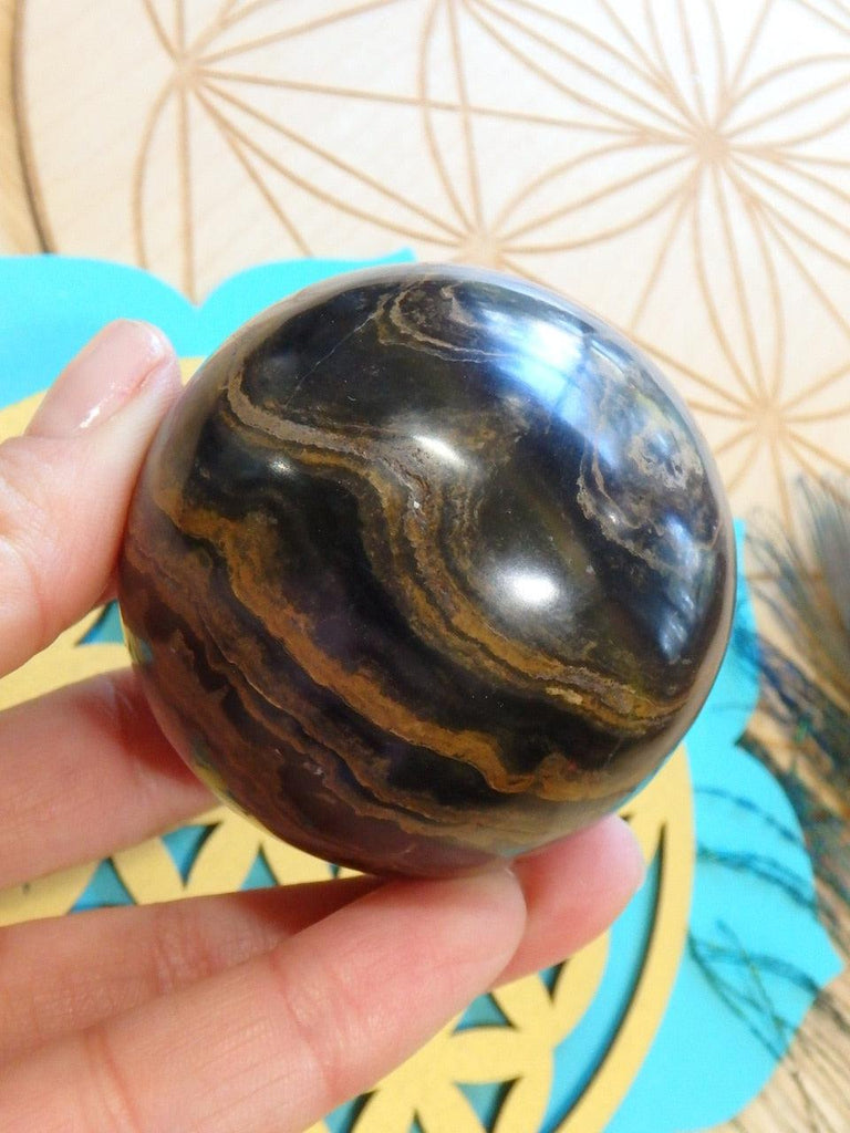 Incredible Chocolate Brown Swirls Stromatolite Gemstone Sphere - Earth Family Crystals