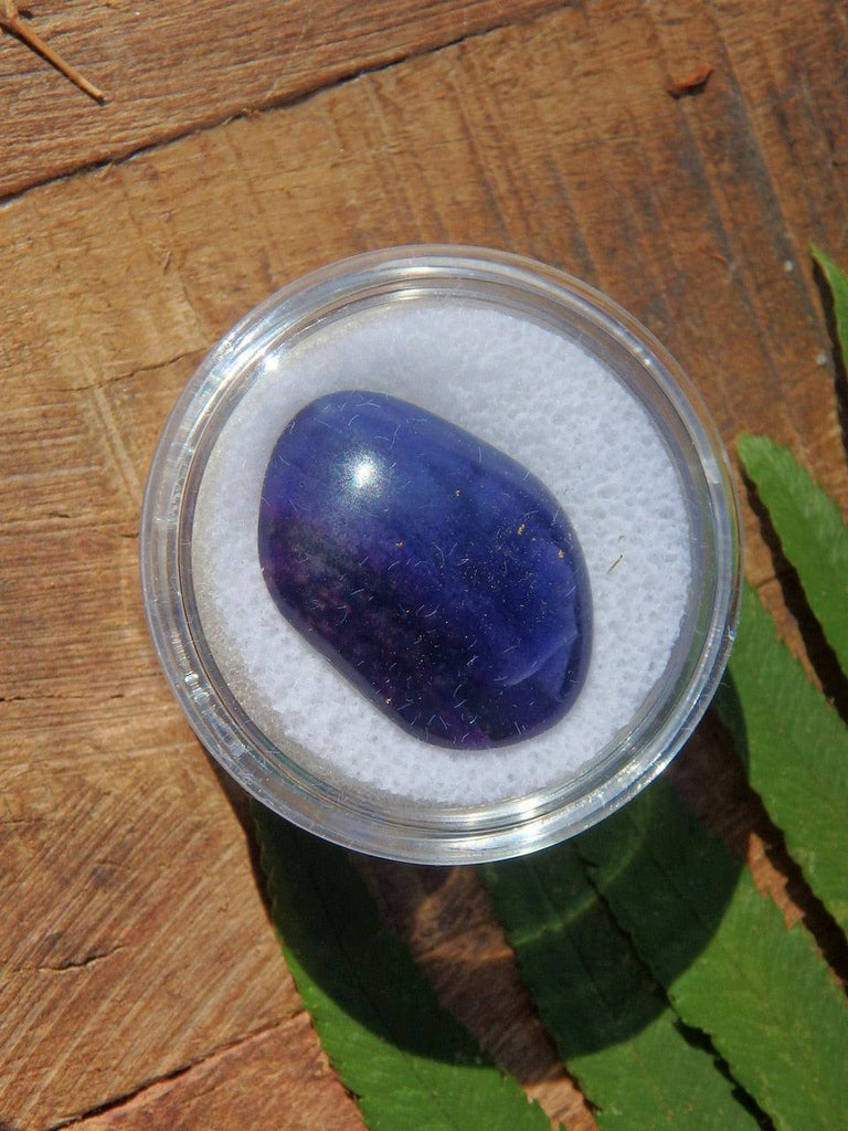 Fabulous Deep Purple Genuine Polished Sugilite Collectors Specimen - Earth Family Crystals