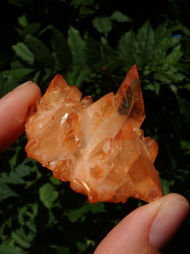 Vibrant Orange Shimmer Sunshine Aura Quartz With Self Healing - Earth Family Crystals