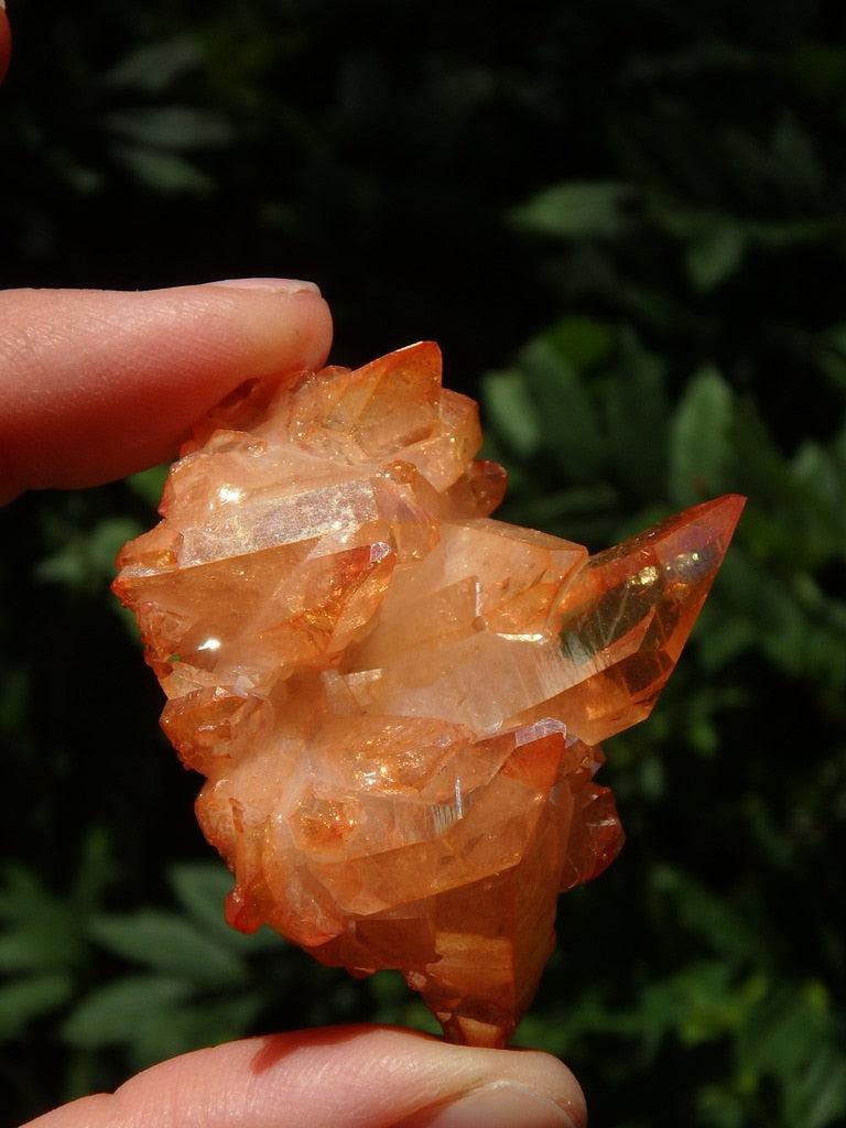 Vibrant Orange Shimmer Sunshine Aura Quartz With Self Healing - Earth Family Crystals