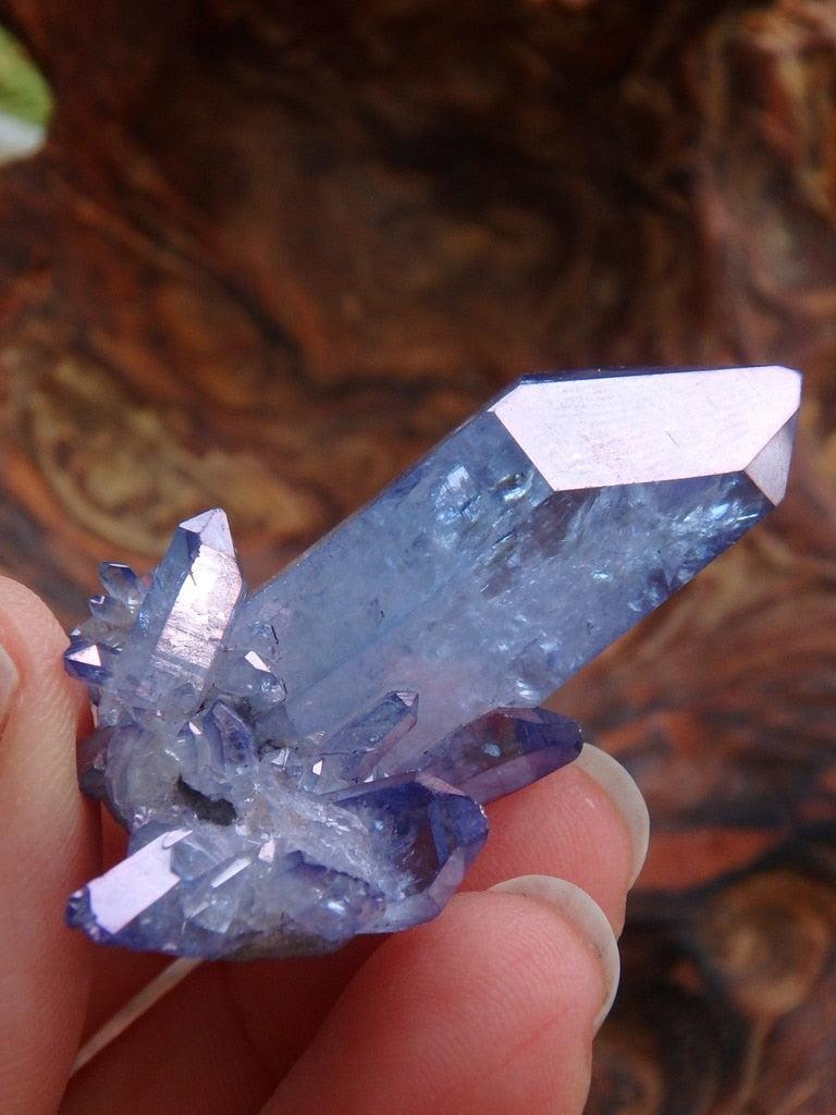 Tanzan Aura Quartz Point Specimen - Earth Family Crystals