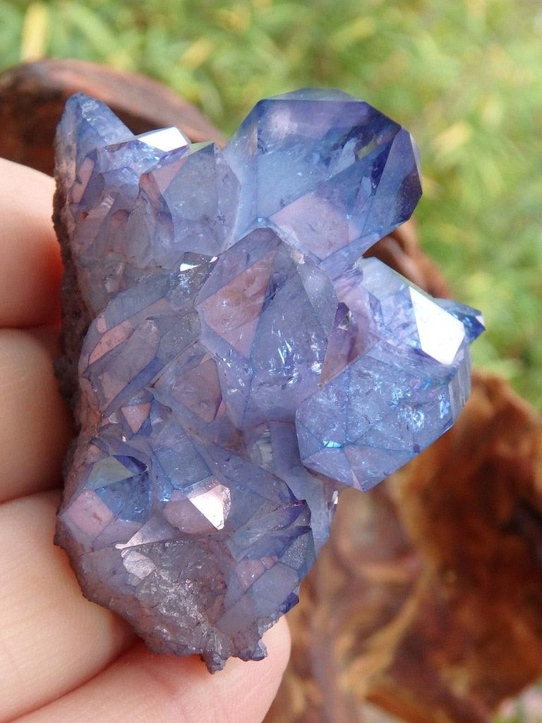 Lovely Sparkle Tanzan Aura Quartz Specimen - Earth Family Crystals