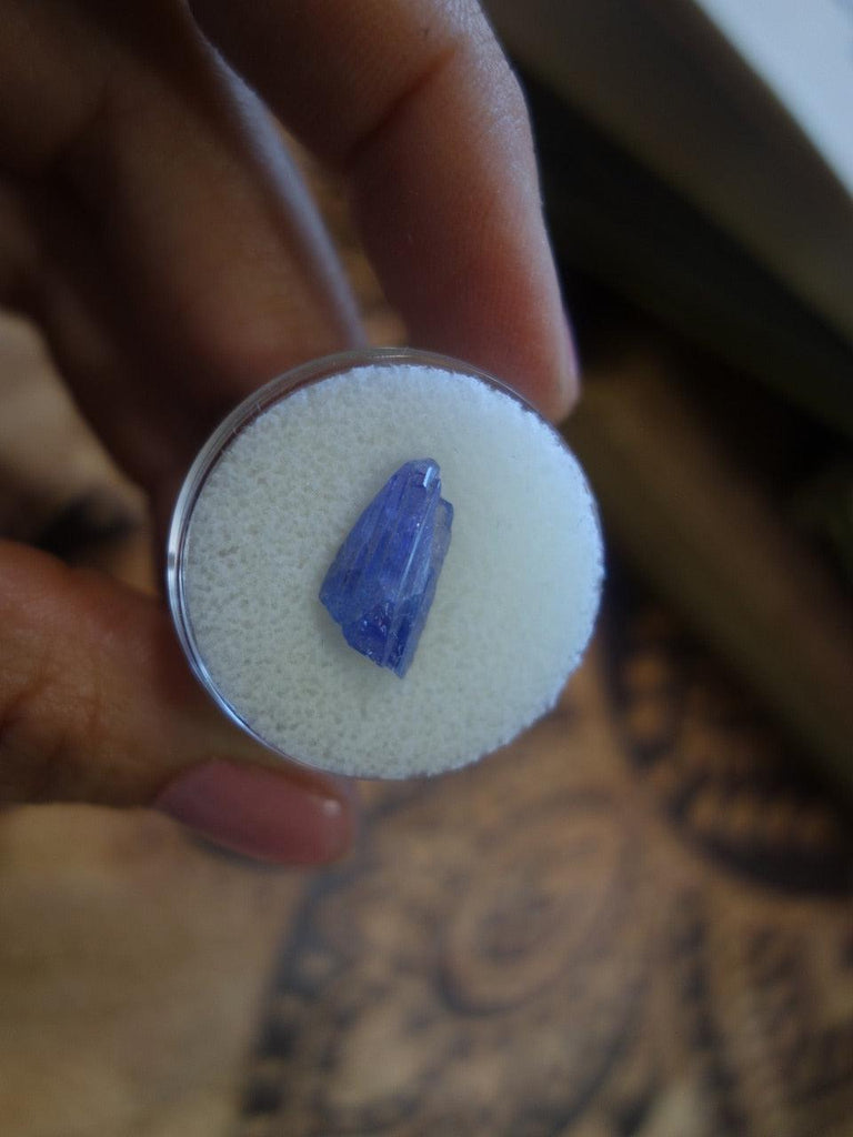 Lovely Tanzanite Specimen in Collectors Box - Earth Family Crystals