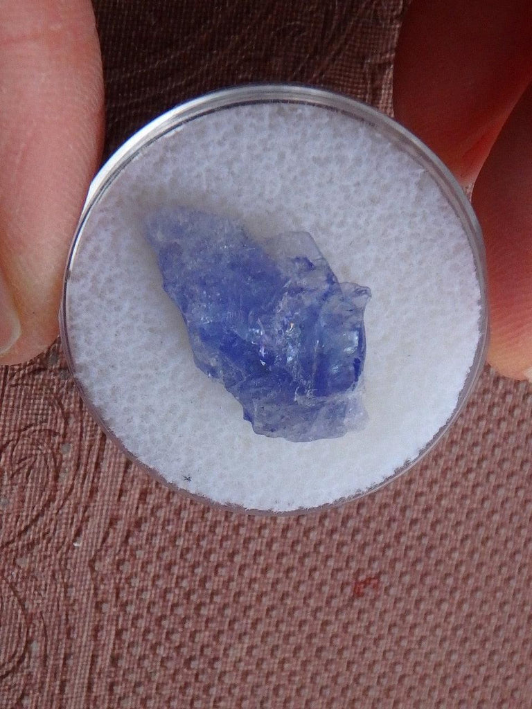Rare! Pretty Tanzanite Specimen In Collectors Box 2 - Earth Family Crystals
