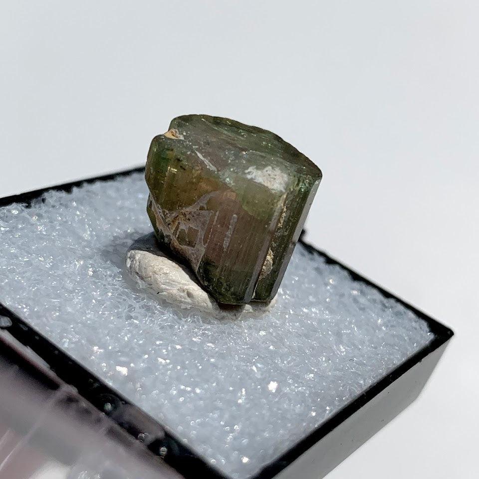 Rare Gemmy Watermelon Tourmaline Point From Brazil in Collectors Box #3 - Earth Family Crystals