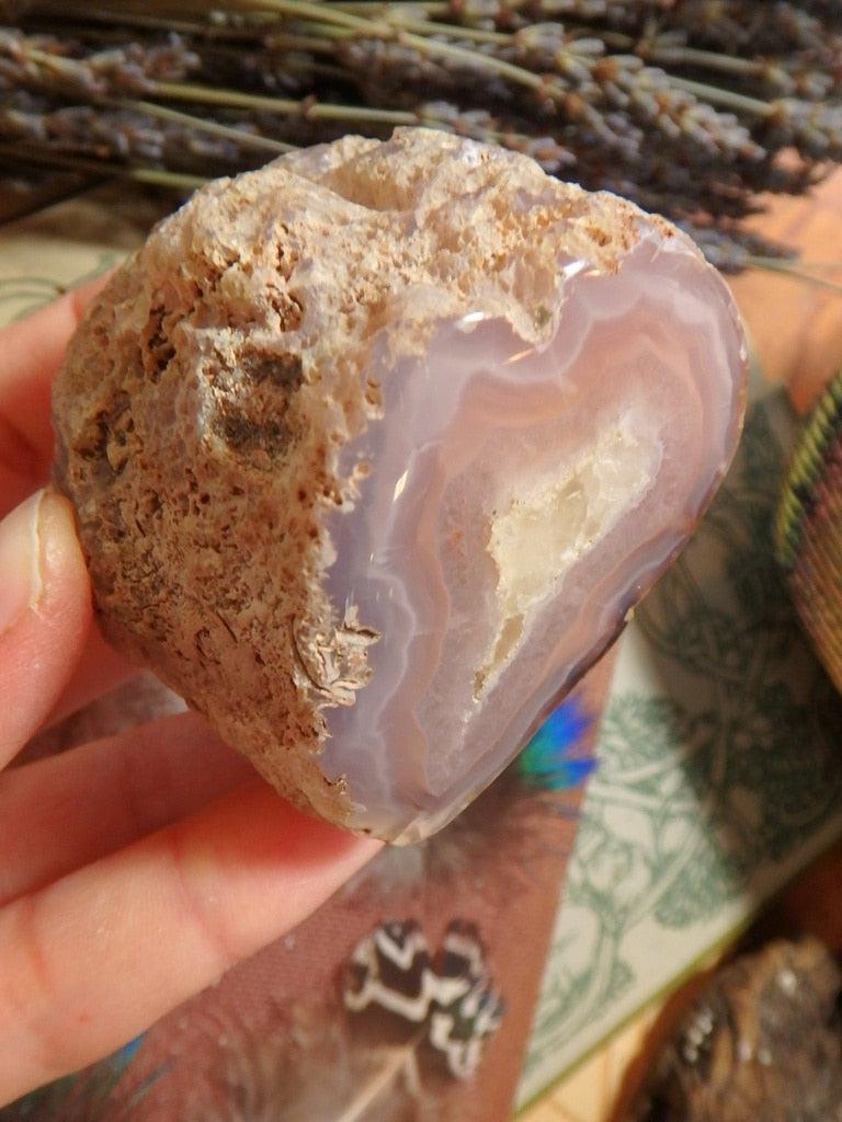 Thunder Egg  Agate Specimen (Old Collection) - Earth Family Crystals