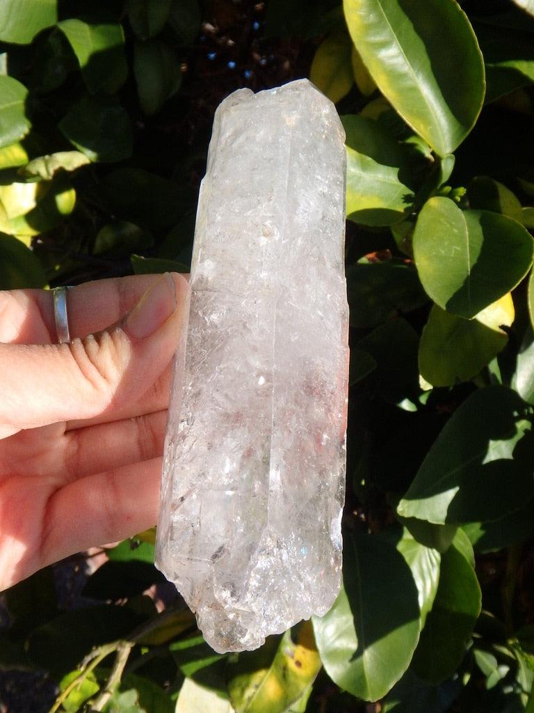 XL  Natural Water Bubble Filled (Enhydro) Tibetan Quartz Point - Earth Family Crystals