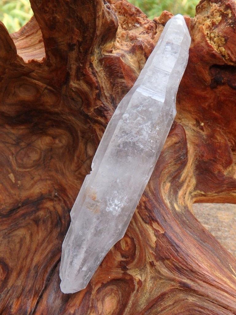 Natural Tibetan Quartz Point Specimen - Earth Family Crystals