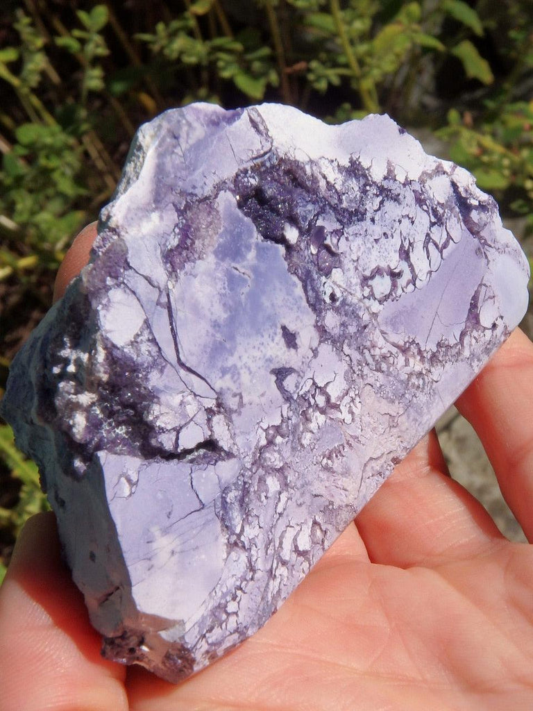 Self Standing Tiffany Stone Partially Polished Specimen With Purple Caves - Earth Family Crystals