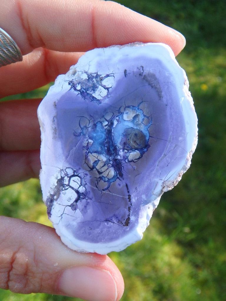 Rare! Spectacular Partially Polished Purple Tiffany Stone Specimen - Earth Family Crystals