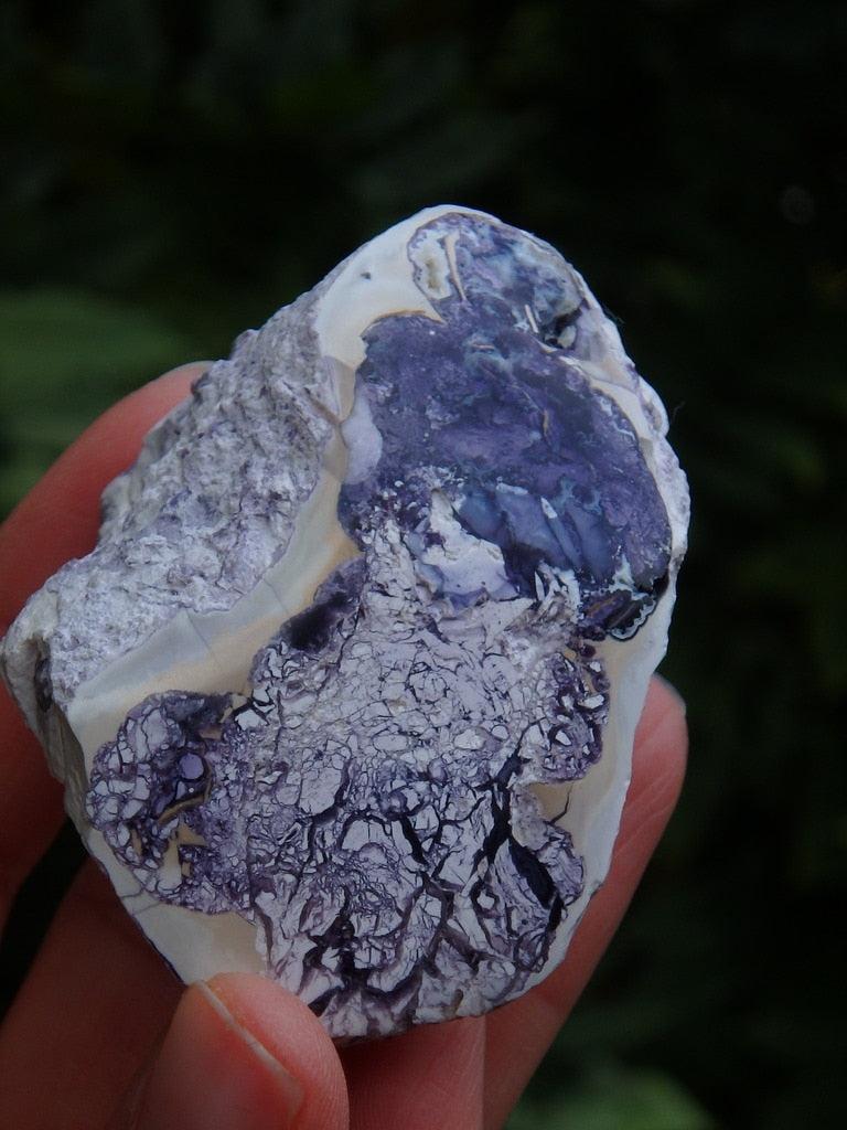 Rare & Stunning~ Partially Polished Tiffany Stone With Caves - Earth Family Crystals
