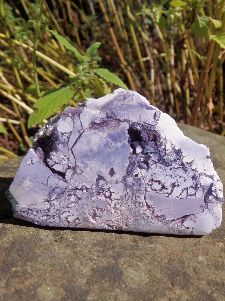 Self Standing Tiffany Stone Partially Polished Specimen With Purple Caves - Earth Family Crystals