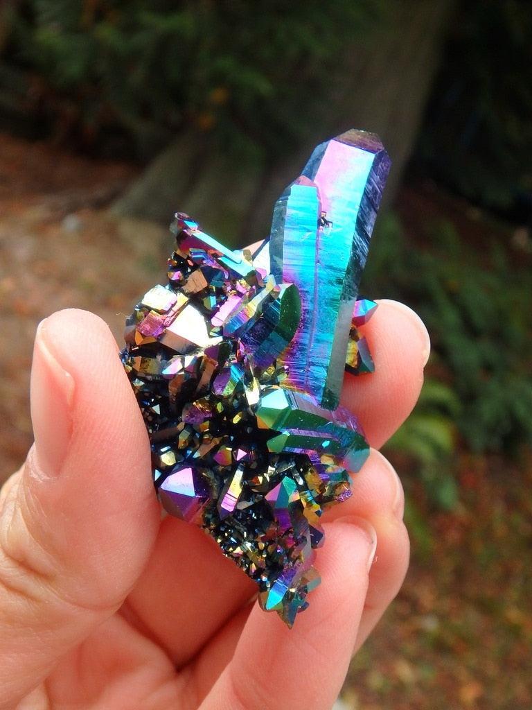 Funky Colors Titanium Aura Quartz Cluster - Earth Family Crystals