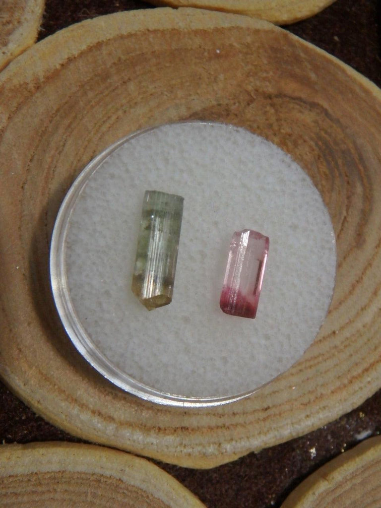 Gemmy Green & Cranberry Red Tourmaline Set in Collectors Box From Brazil - Earth Family Crystals