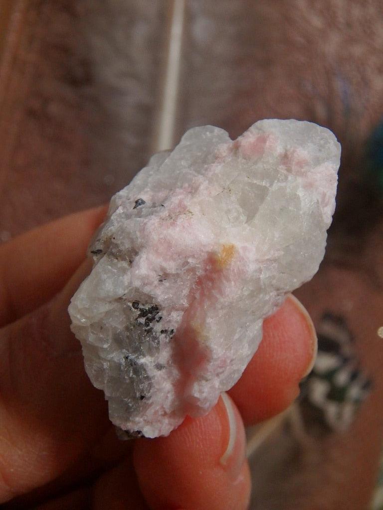 Rare Pink Tugtupite & White Natrolite Specimen From Greenland 2 - Earth Family Crystals