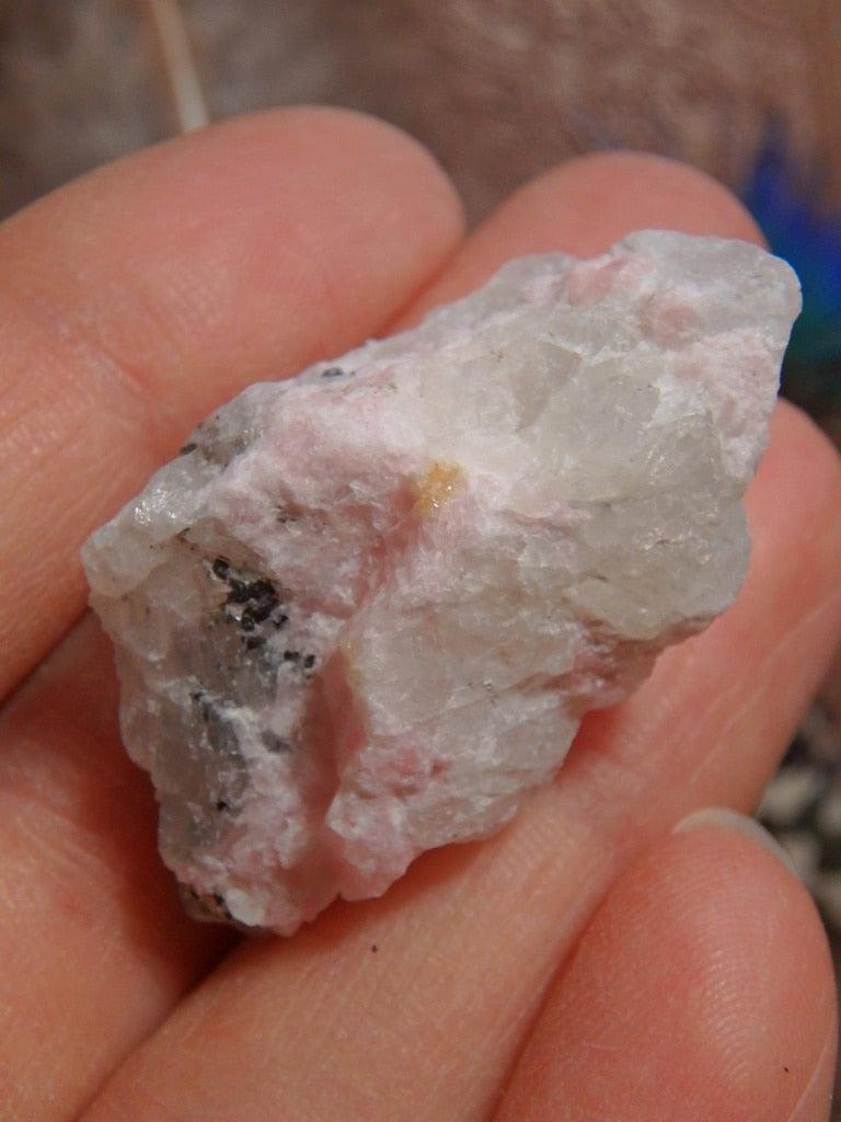 Rare Pink Tugtupite & White Natrolite Specimen From Greenland 2 - Earth Family Crystals