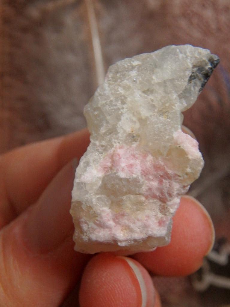 Rare Pink Tugtupite & White Natrolite Specimen From Greenland 1 - Earth Family Crystals