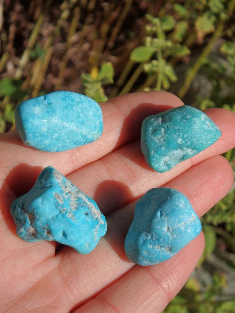 Rare Kingman Arizona Natural Turquoise Specimen (1) - Earth Family Crystals