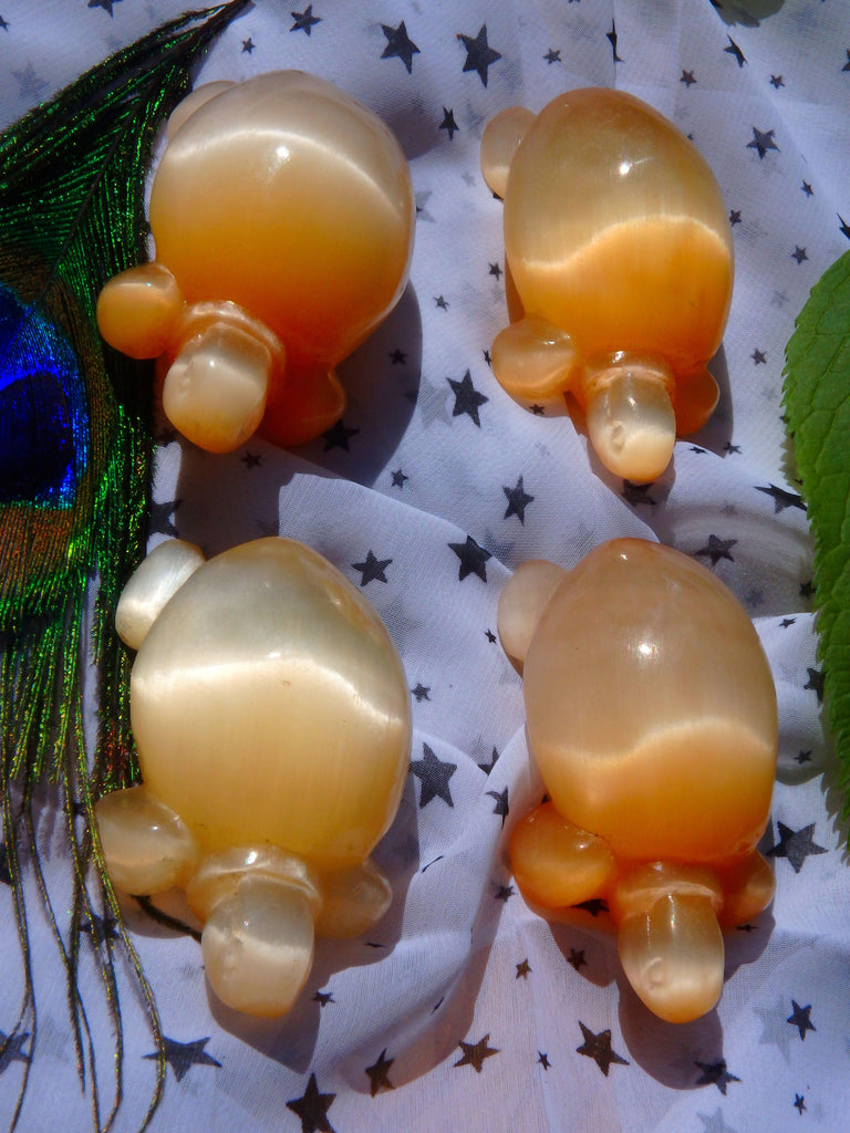 Orange Selenite Turtle Carving Specimen - Earth Family Crystals