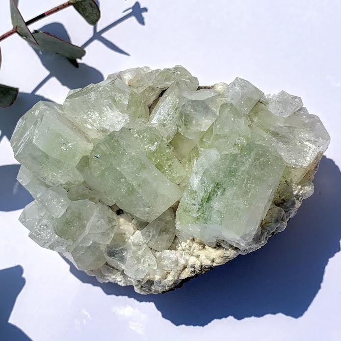 Chunky Green Apophyllite Crystals on Matrix From India - Earth Family Crystals