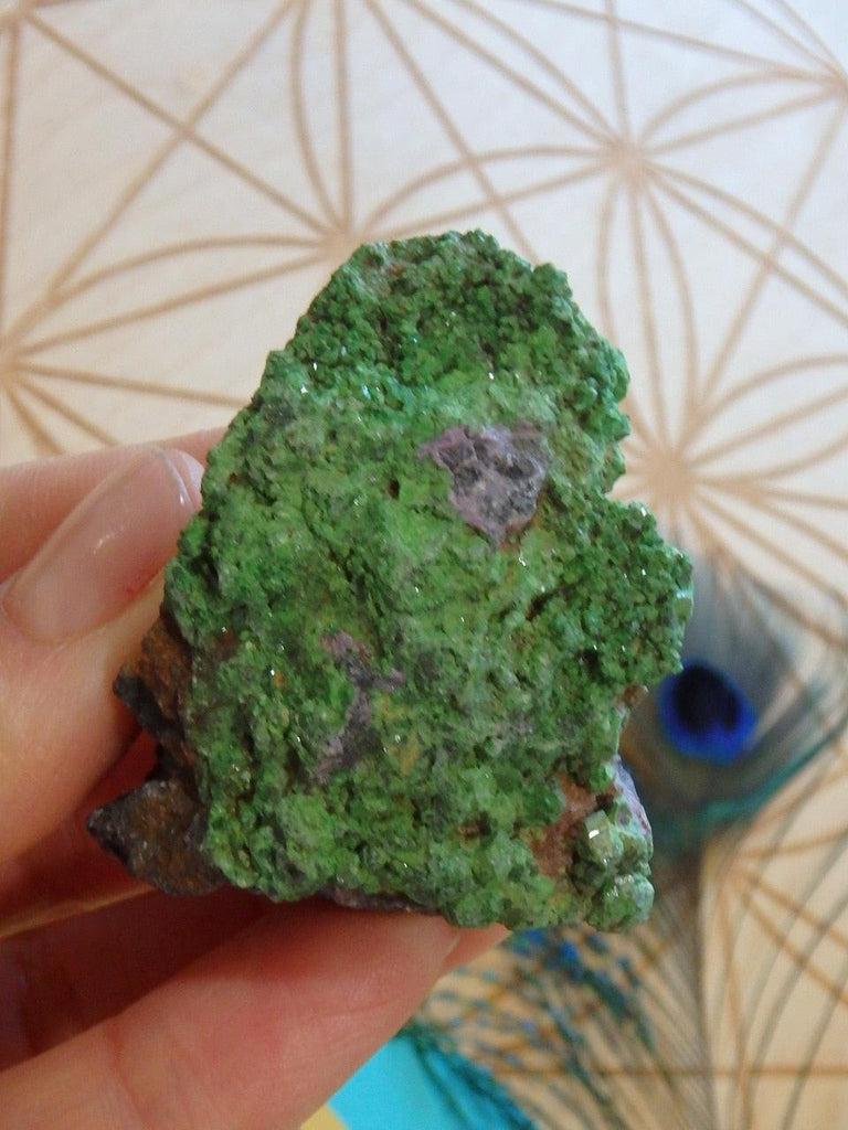Vibrant Shimmering Green Uvarovite Garnet From Russia - Earth Family Crystals