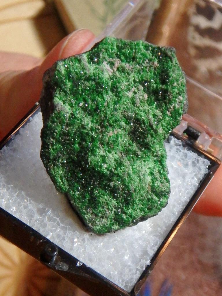 Rare Dark Green Uvarovite Garnet From Russia In Collectors Box - Earth Family Crystals