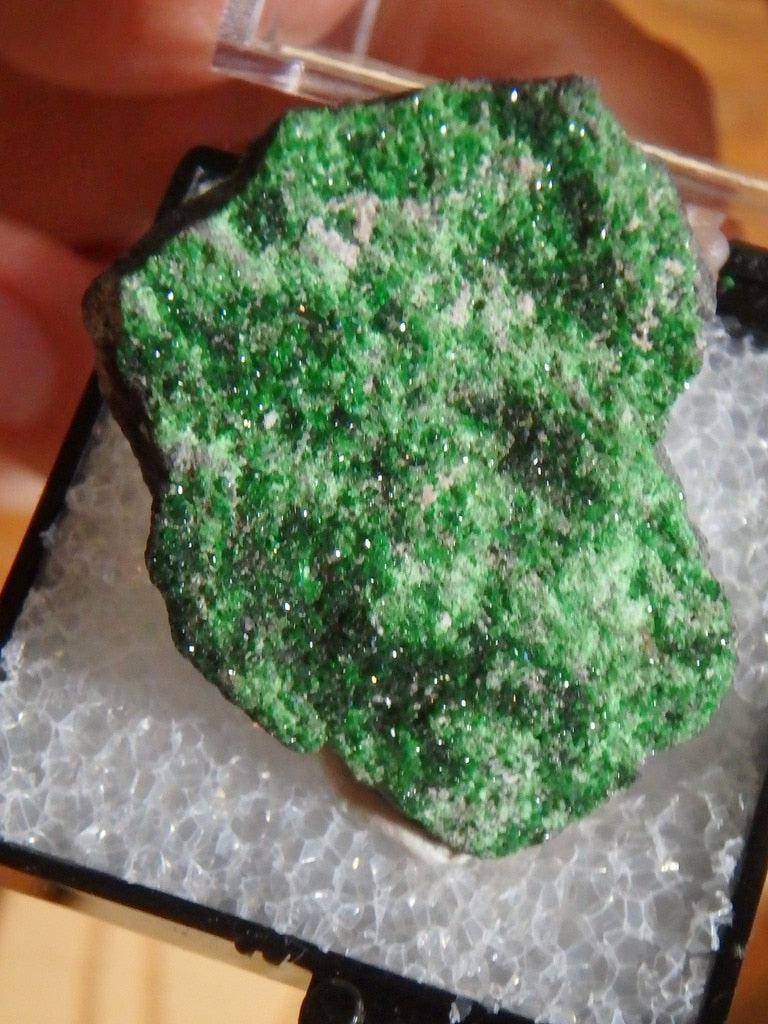 Rare Dark Green Uvarovite Garnet From Russia In Collectors Box - Earth Family Crystals