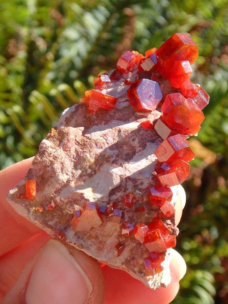 Exquisite Large Crystals! Orange Vanadinite Gemstone Specimen - Earth Family Crystals