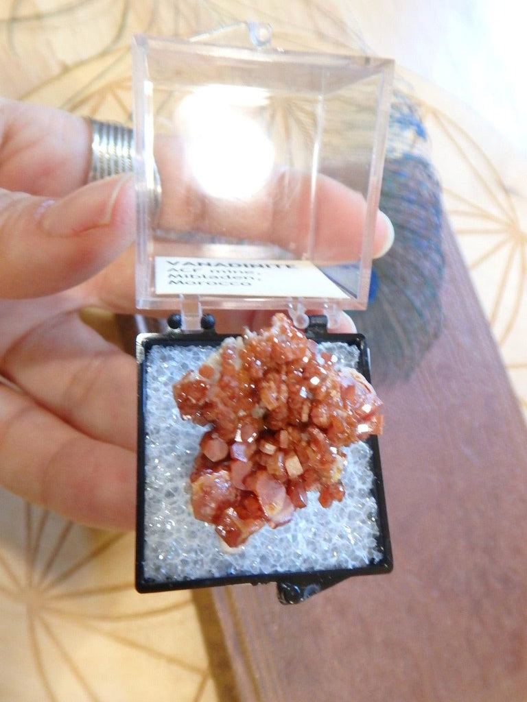Gorgeous Deep Orange Druzy Vandanite Specimen In Collectors Box From Mibladen, Morocco - Earth Family Crystals