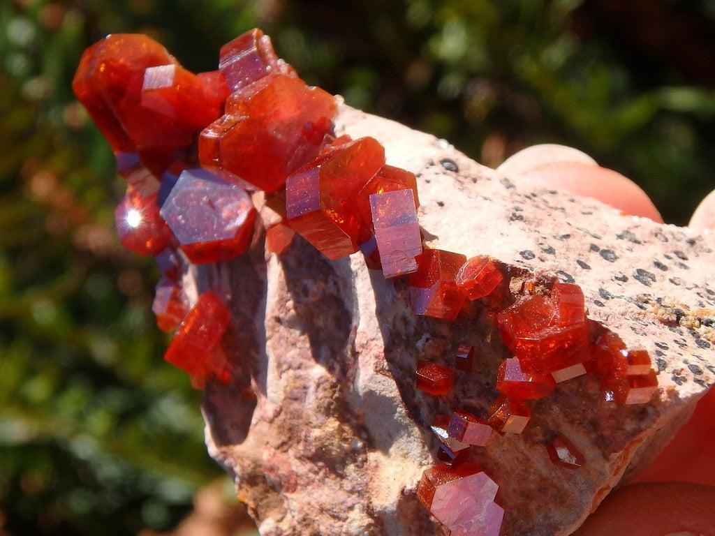 Exquisite Large Crystals! Orange Vanadinite Gemstone Specimen - Earth Family Crystals