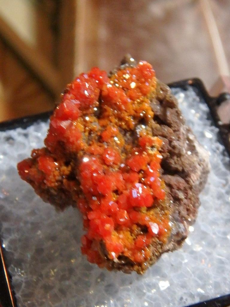 Reserved For Nanette  Sparkling Orange Vanadinite From Pure Potential Mine, Arizona In Collectors Box - Earth Family Crystals