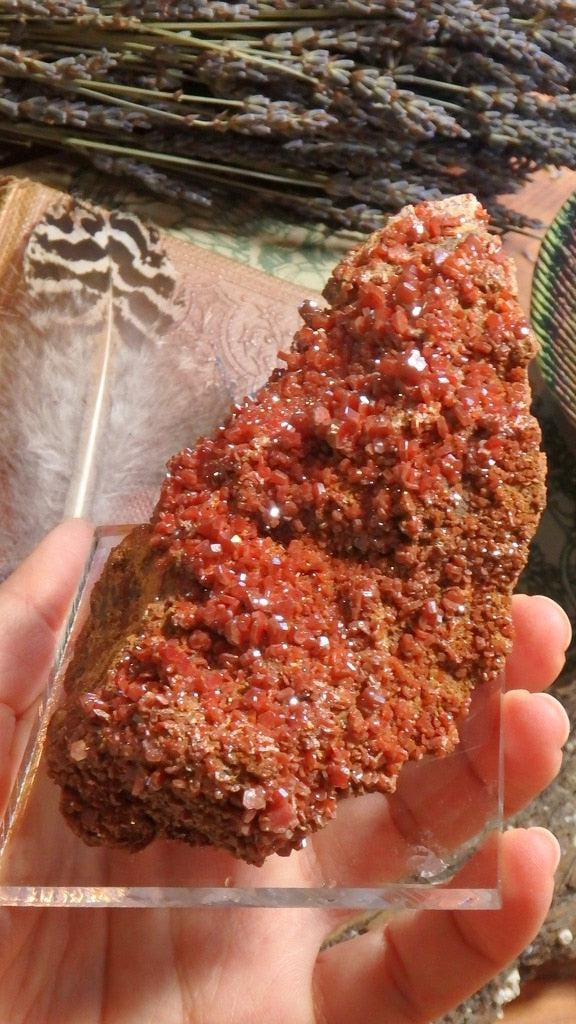 XL Luscious Orange Vanandinite Old Collection Specimen Mounted - Earth Family Crystals