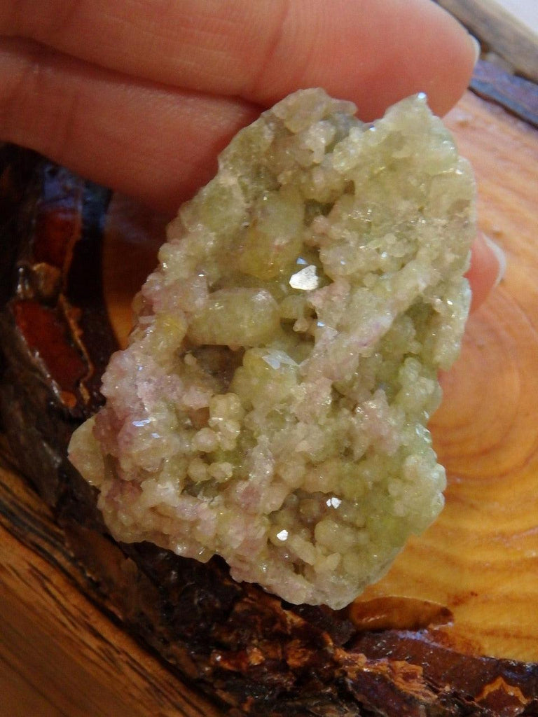 Stunning Crystal Druzy Vesuvianite Cluster From Quebec, Canada - Earth Family Crystals