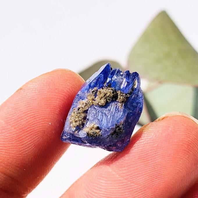 15.5CT High Grade Multi Terminated Gemmy Tanzanite Specimen in Collectors Box #1 - Earth Family Crystals