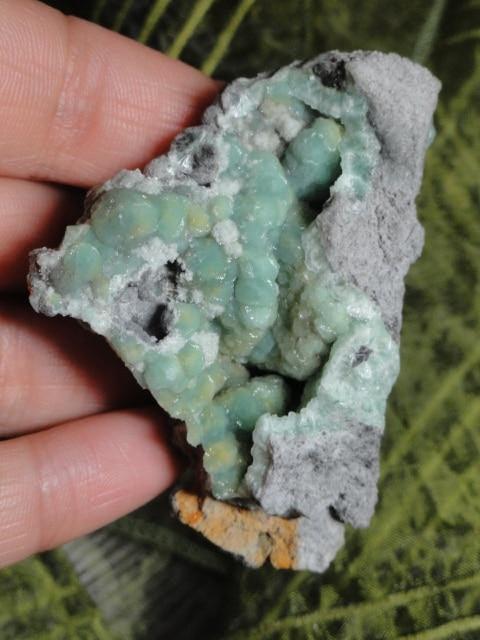 Gorgeous Lime Green Botryoidal WAVELITE From Arkansas - Earth Family Crystals