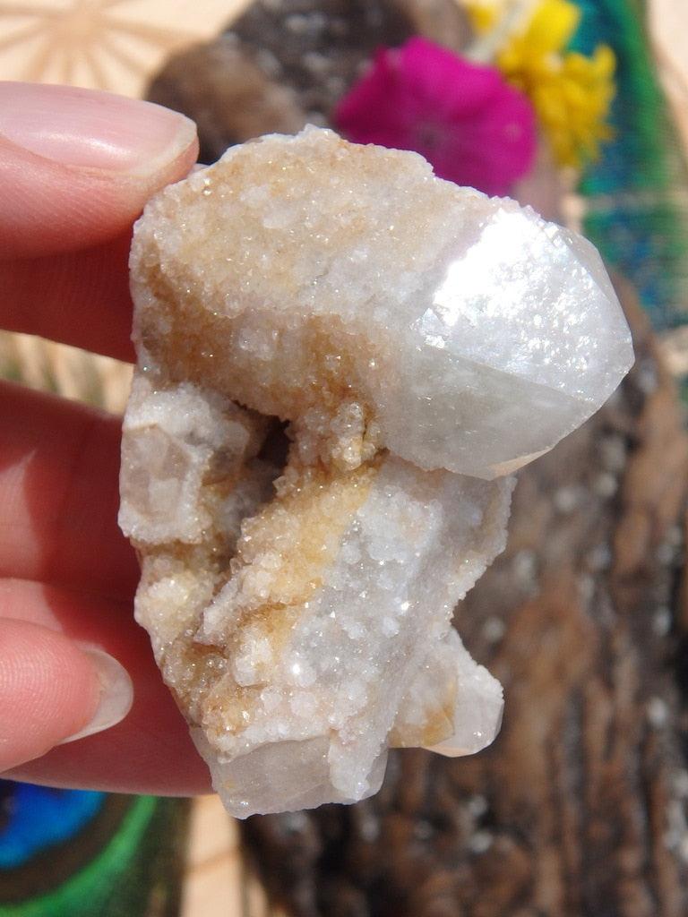 White Light Fairy Spirit Quartz Cluster - Earth Family Crystals