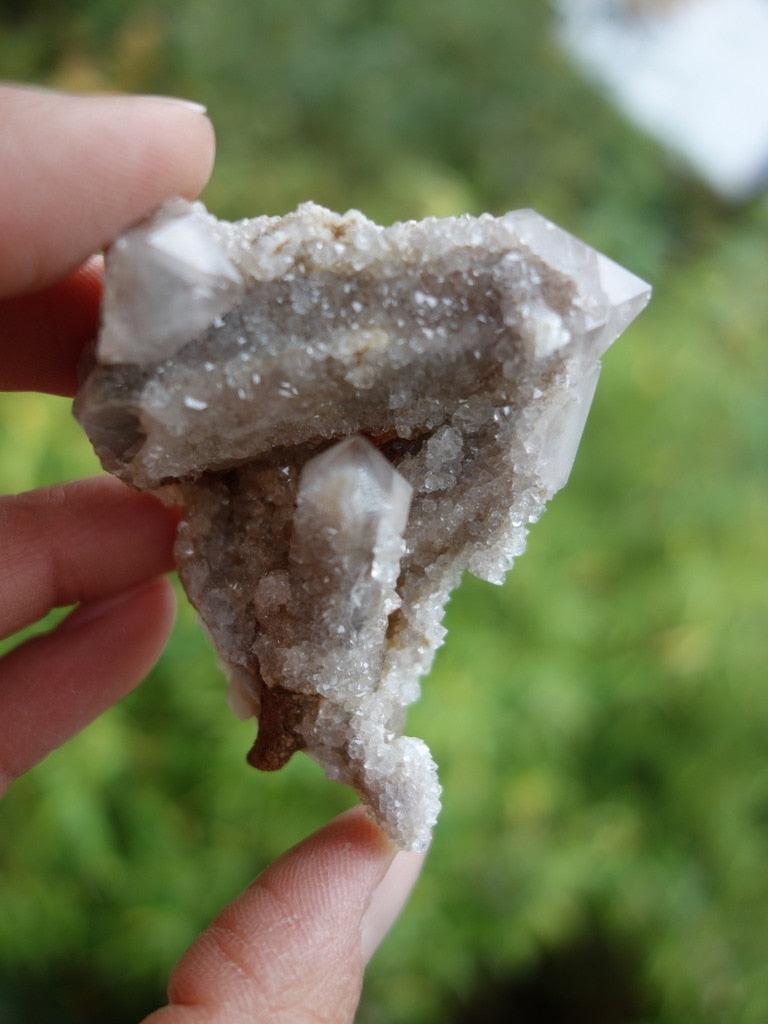 Fairy Dust White Spirit Quartz Cluster - Earth Family Crystals