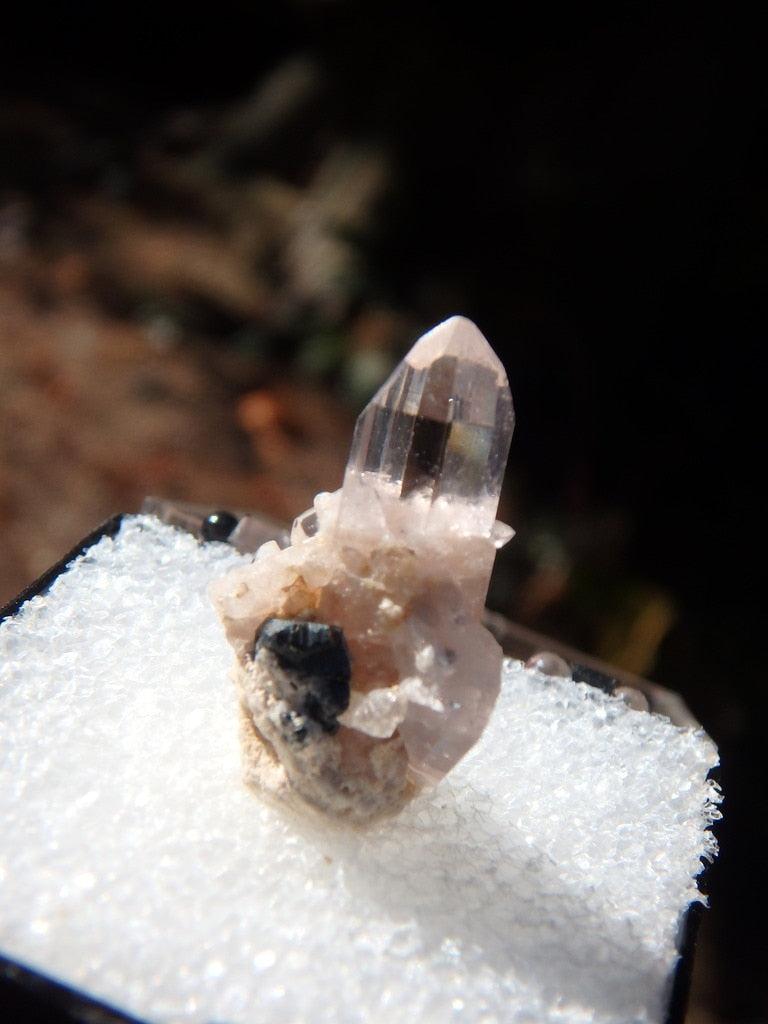 Perfect Clear Topaz Point With Bixbyite From Thomas Range, Utah  In Collectors Box - Earth Family Crystals
