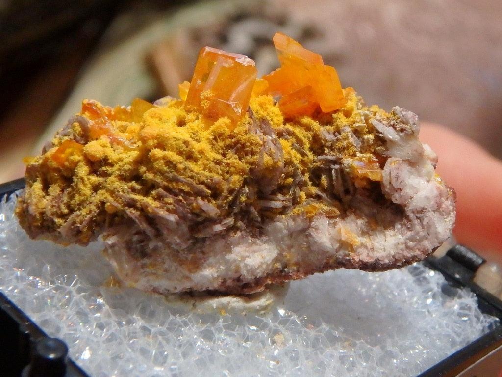 Vibrant Orange Wulfenite on Matrix With Baryte &  Mimetite In Collectors Box - Earth Family Crystals