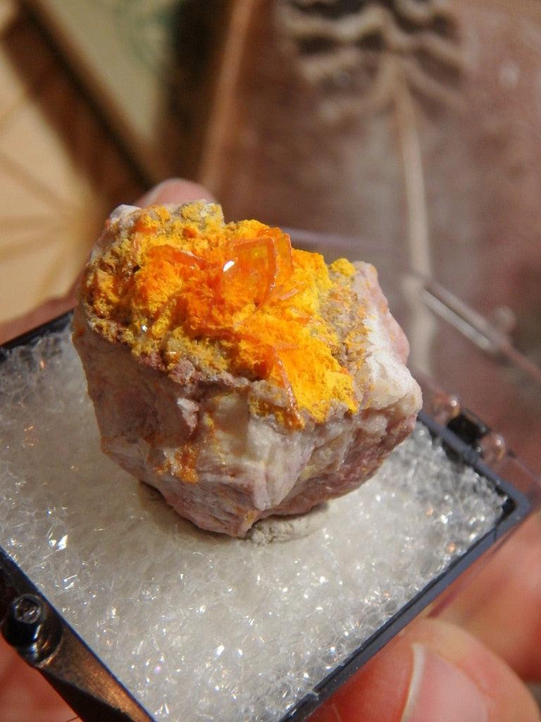 Vibrant Orange Wulfenite From Rowley Mine, Arizona In Collectors Box - Earth Family Crystals